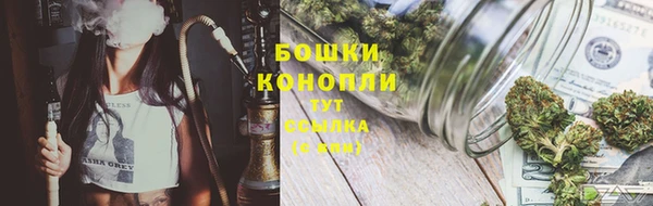 PSILOCYBIN Новокубанск