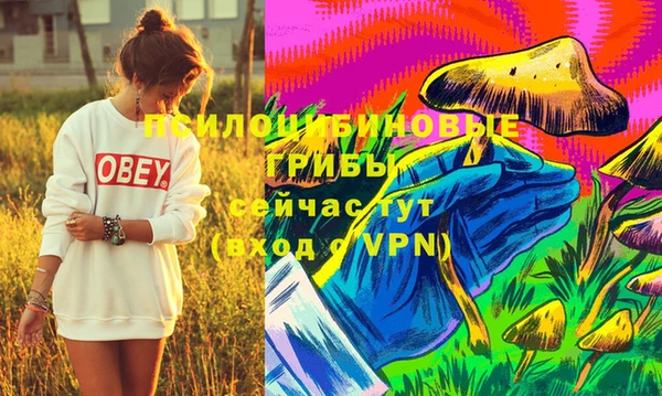 PSILOCYBIN Новокубанск