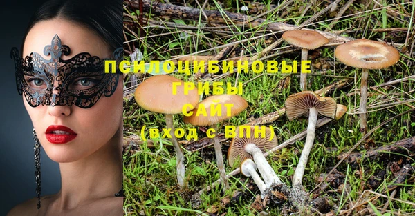 мдпв Новодвинск