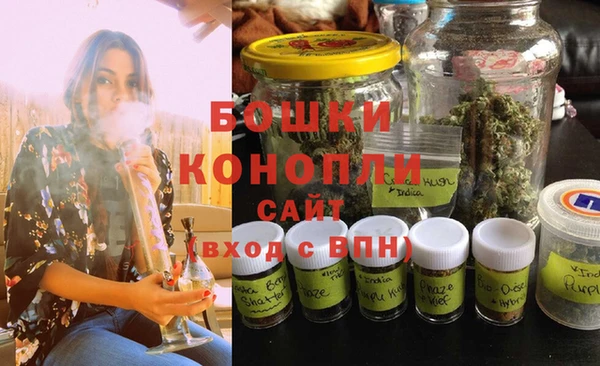 прущие крисы Няндома