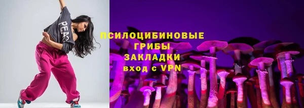 мдпв Новодвинск