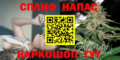 прущий лед Гай