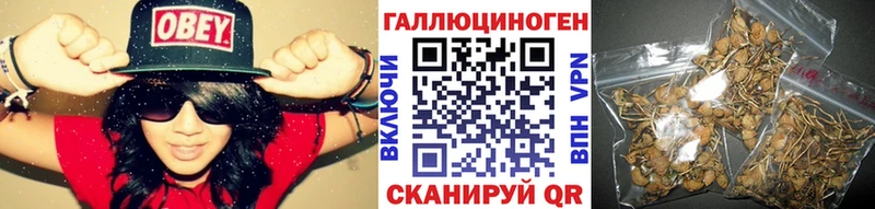 где можно купить   Тверь  Галлюциногенные грибы мухоморы 