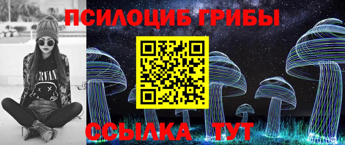 Тверь  Галлюциногенные грибы Cubensis  Вход с VPN  Галлюциногенные грибы Cubensis 