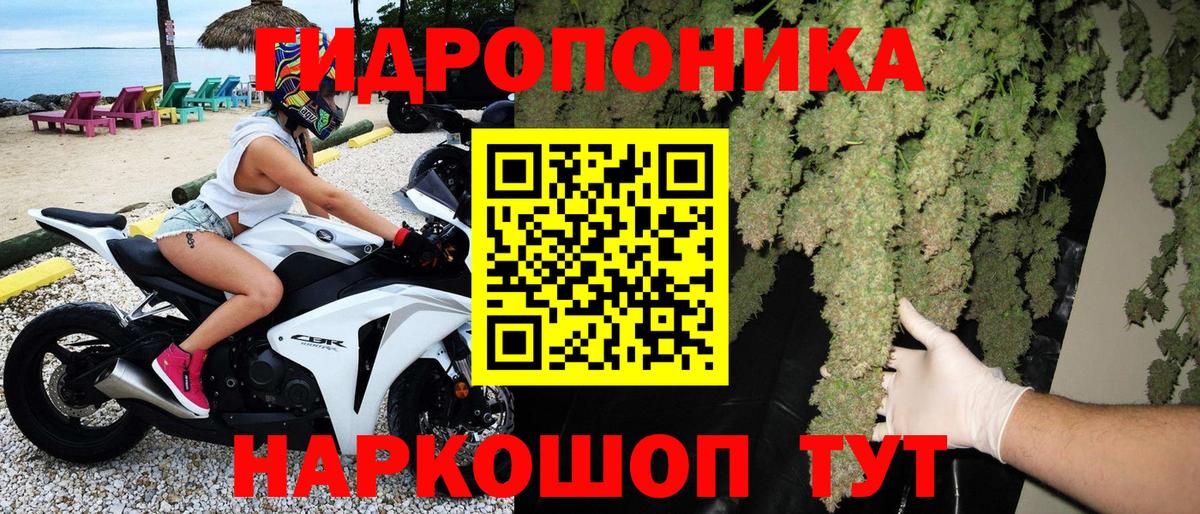 Канабис Amnesia Тверь