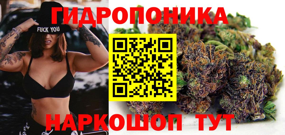 Бошки марихуана план  Бошки марихуана тримм  Вход с VPN  МАРИХУАНА сатива  Тверь 